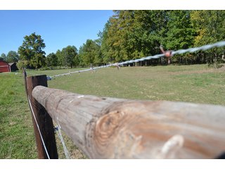 Property photo 21 - 80 +/- Acres Offered in 6 Tracts - Spectacular Farm & Home
